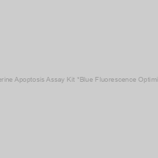 Image of Cell Meter™ Phosphatidylserine Apoptosis Assay Kit *Blue Fluorescence Optimized for Microplate Readers*